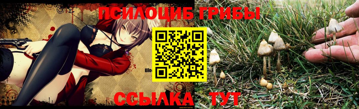 Галлюциногенные грибы мухоморы  Вход с VPN  Галлюциногенные грибы Cubensis  Великий Новгород 