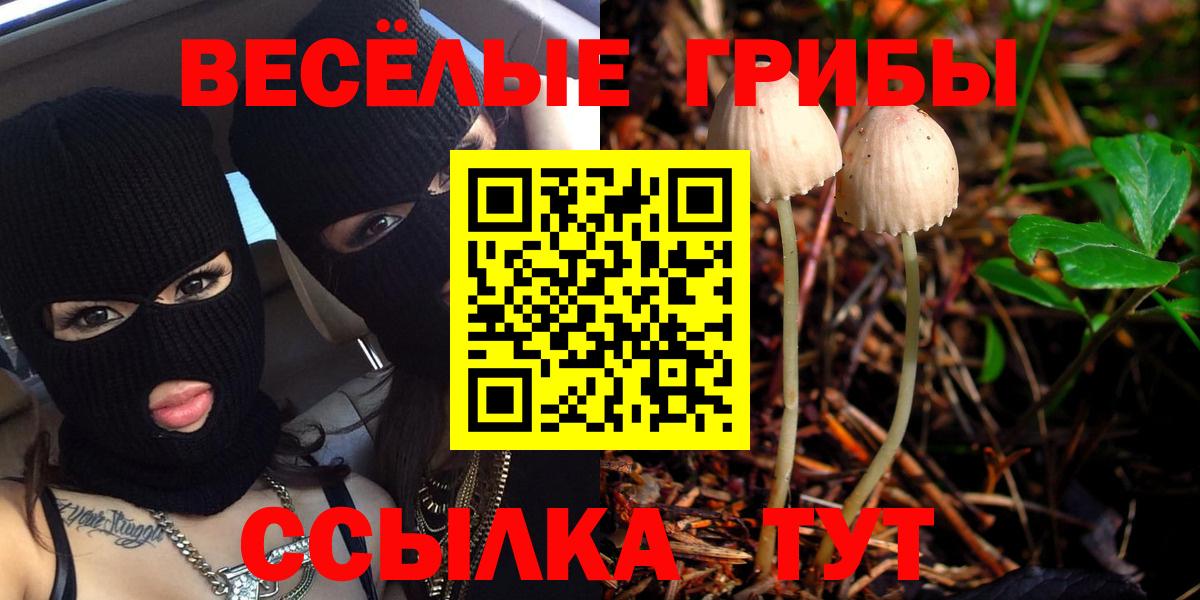 Галлюциногенные грибы MAGIC MUSHROOMS Великий Новгород
