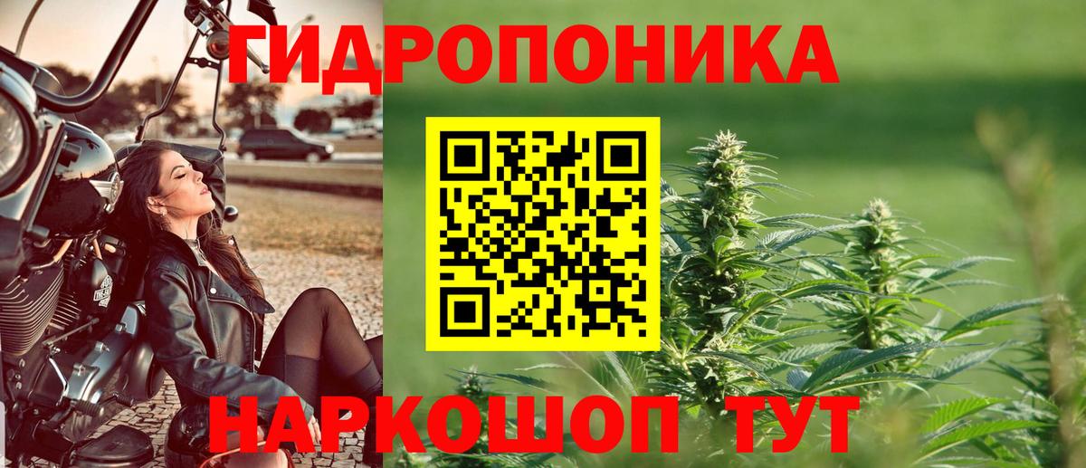 Великий Новгород  Бошки Шишки гибрид  Конопля VHQ  Вход с VPN  Бошки марихуана Bruce Banner 